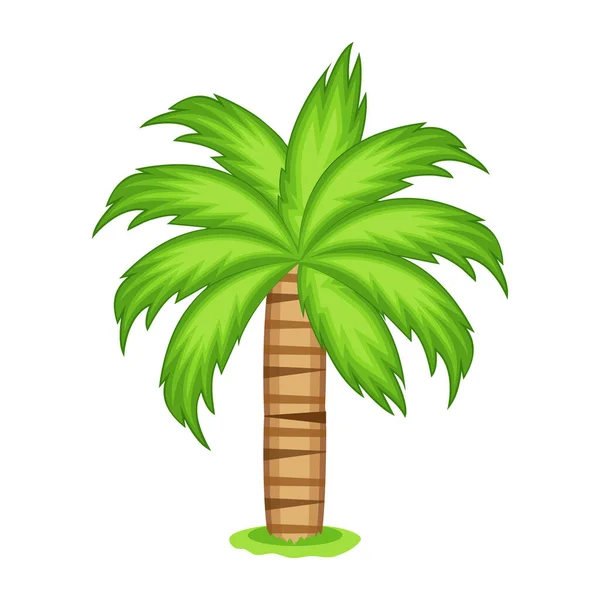 Palm Träd Ikon Vektor — Stock vektor