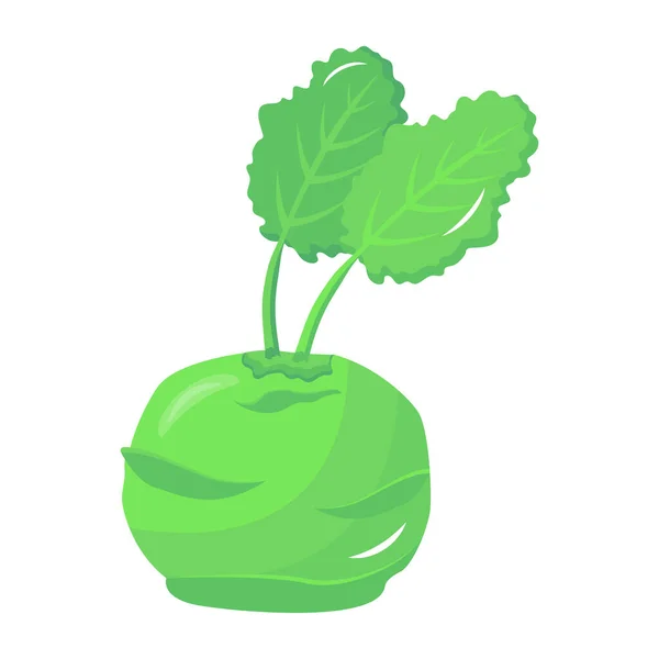 Fresh Vegetable Vector Illustration — Stock Vector