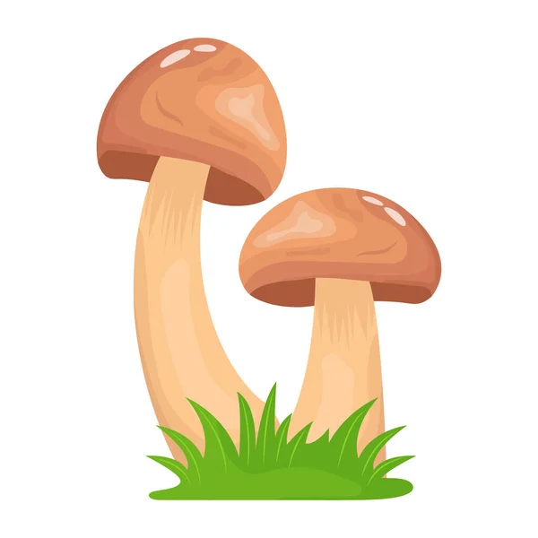 Illustrazione Funghi Icone Vettoriali Web — Vettoriale Stock