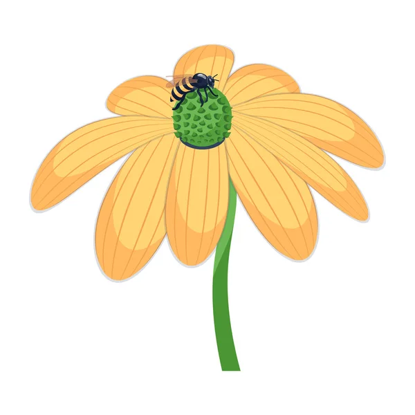 Vector Illustration Bee Sitting Sunflower — Stock Vector
