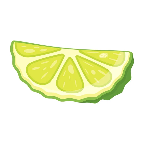Tranche Lime Fraîche Isolée Sur Fond Blanc Illustration Vectorielle — Image vectorielle