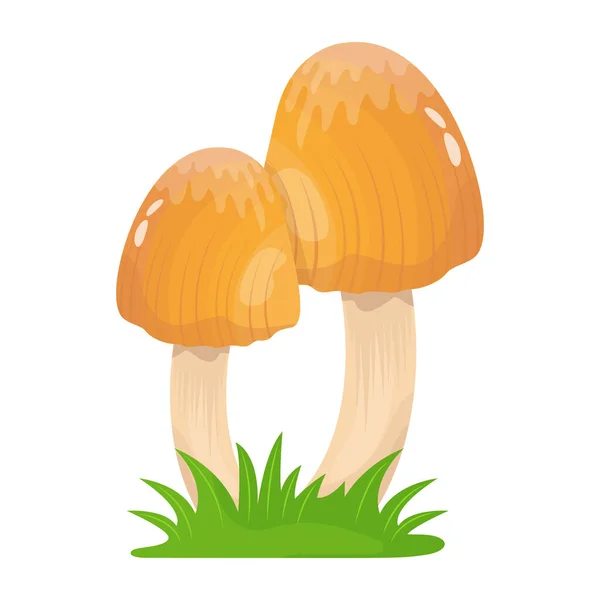Desenho Animado Ilustração Cogumelos Ícones Vetoriais Para Web — Vetor de Stock