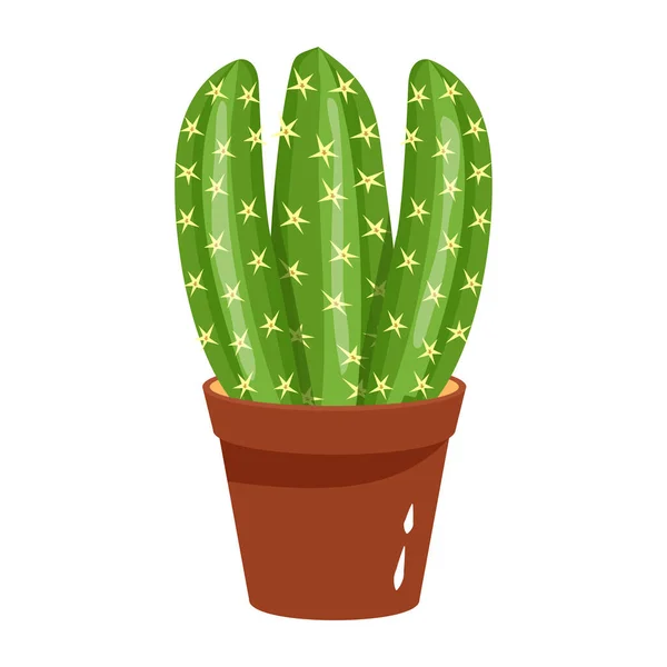 Kaktus Topf Isoliert Auf Weißem Hintergrund Vektorillustration — Stockvektor