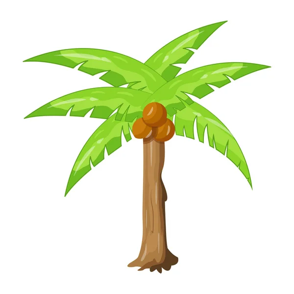 Palmeira Com Folhas Verdes Isoladas Fundo Branco — Vetor de Stock