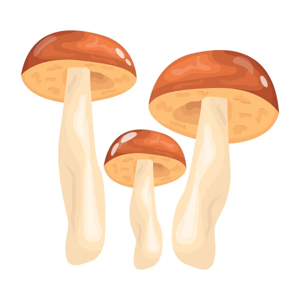 Pilze Cartoon Illustration Von Essbaren Pilzen Vektor Symbol — Stockvektor