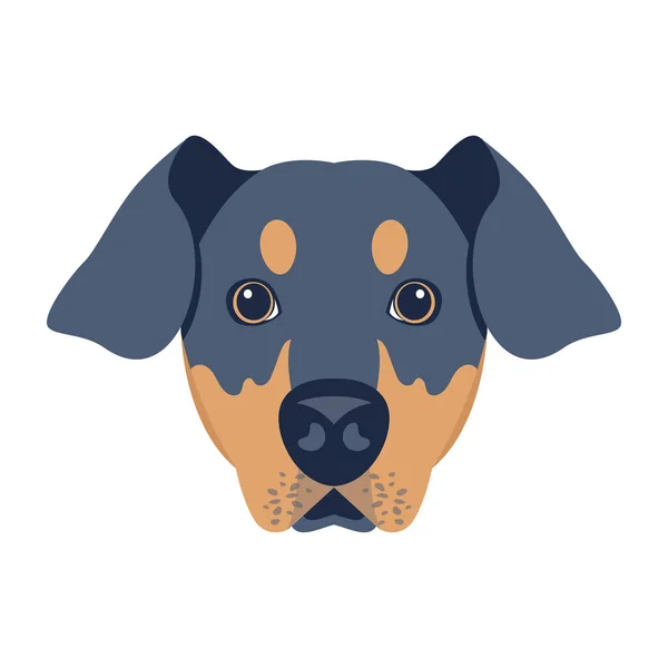 Ładny Pies Głowa Uszami Różnych Ras Wektor Ilustracji — Wektor stockowy