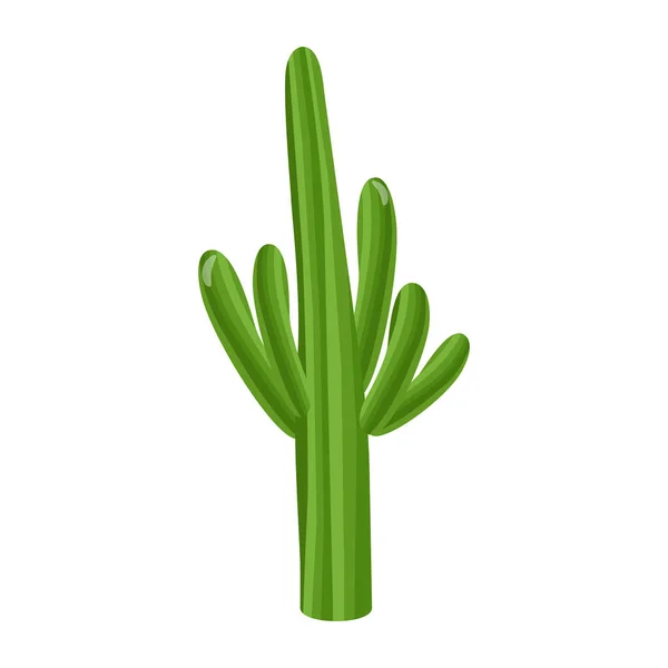 Ilustracja Wektorowa Zielonego Kaktusa — Wektor stockowy