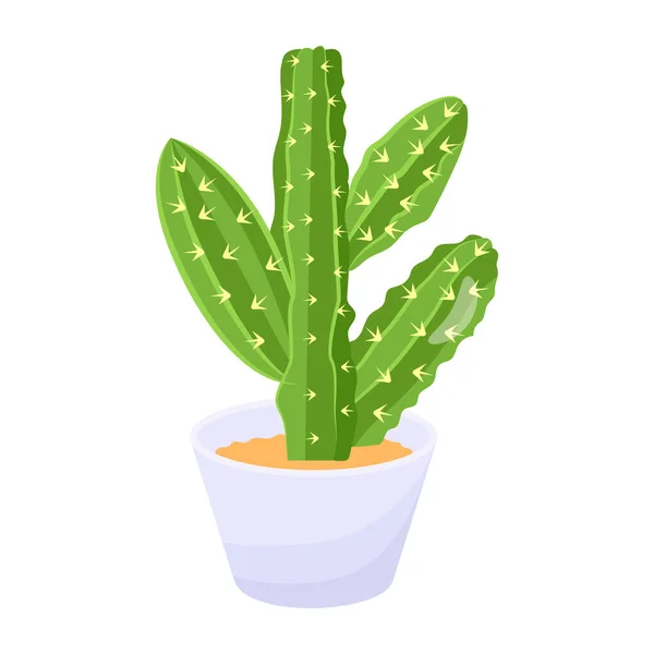 Cactus Icône Végétale Illustration Vectorielle Graphisme — Image vectorielle