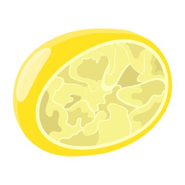 Bir limon yarı simgesinin vektör çizimi