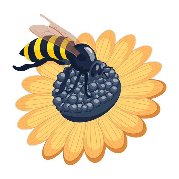 Honey Bee Sunflower Seeds Isolated White Background Vector Illustration — Stock Vector