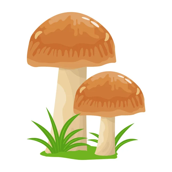 Illustrazione Dei Cartoni Animati Funghi Icone Vettoriali Web — Vettoriale Stock