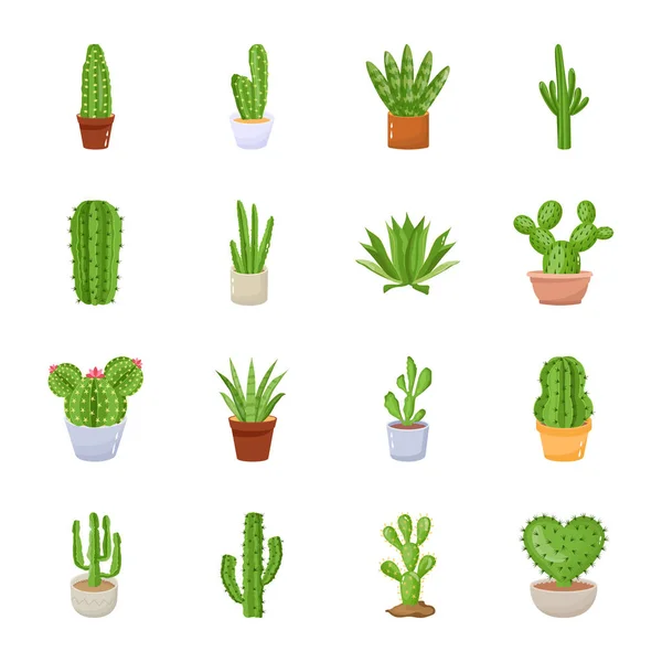 Ensemble Cactus Plantes Illustration Vectorielle — Image vectorielle