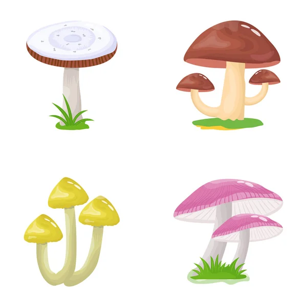 Vektorillustration Von Pilzen Und Waldsymbol Sammlung Von Pilzen Und Giftigen — Stockvektor