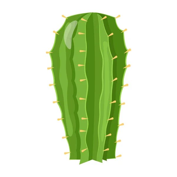 Ikon Tanaman Kaktus Isometrik Dari Hijau Cacti Vektor Simbol Untuk - Stok Vektor