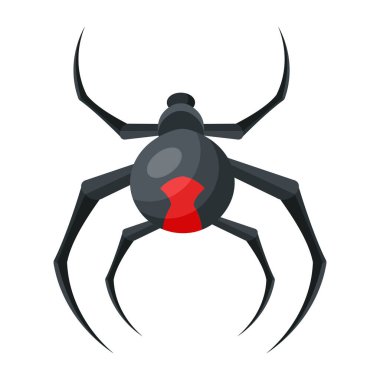 Vektör çizimi. Beyaz arkaplandaki örümcek 