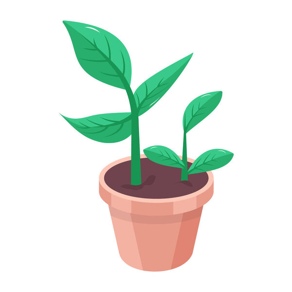 plant with a pot, vector illustration