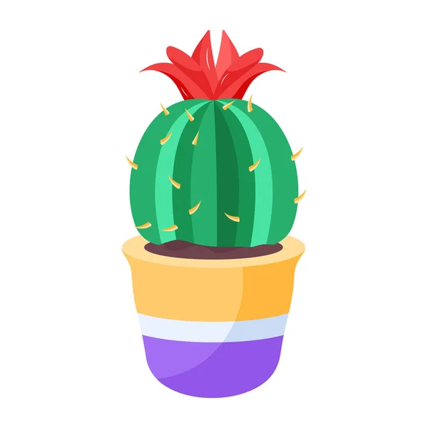Cactus Fleurs Pot Céramique Isolé Sur Blanc Illustration Vectorielle — Image vectorielle