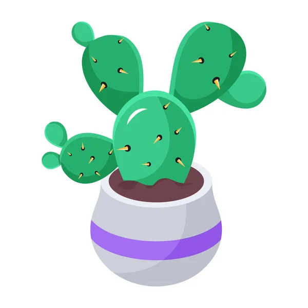 Planta Cactus Maceta Aislada Sobre Fondo Blanco — Vector de stock