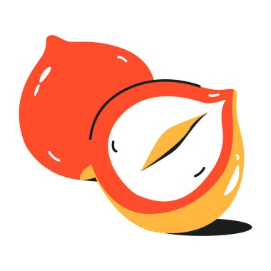 beyaz arkaplanda izole edilmiş taze ve lezzetli meyve, vektör illüstrasyonu 