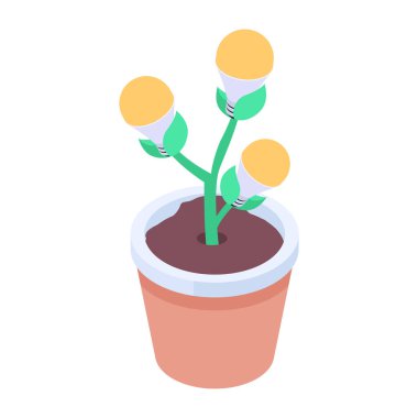 Bitkinin büyümesinin izometrik bir simgesi