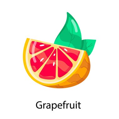 kırmızı greyfurt simgesi vektör illüstrasyonu