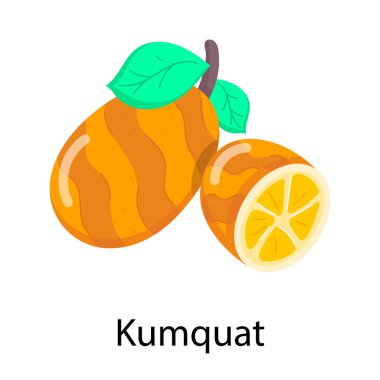 kumquat simgesi vektör illüstrasyonu 