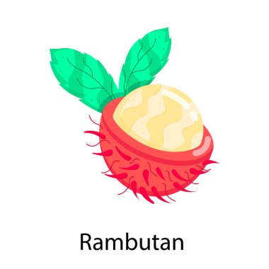 Rambutan meyvesinin vektör düz simge tasarımı