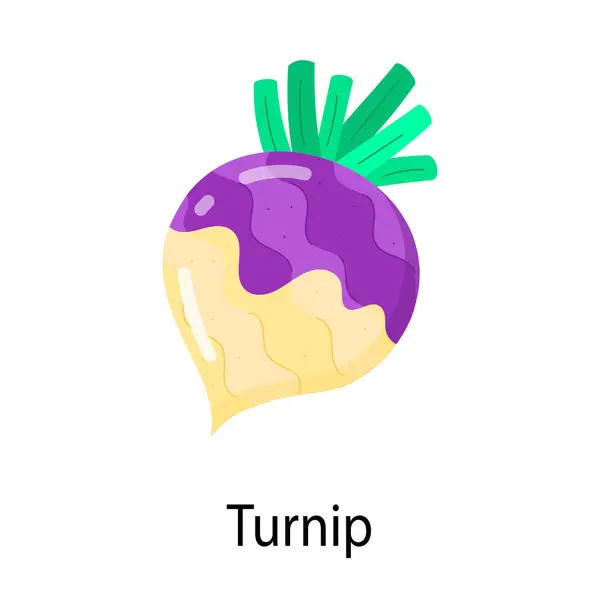 Turnip Vegetable Flat Vector Icon เวกเตอร์สต็อก