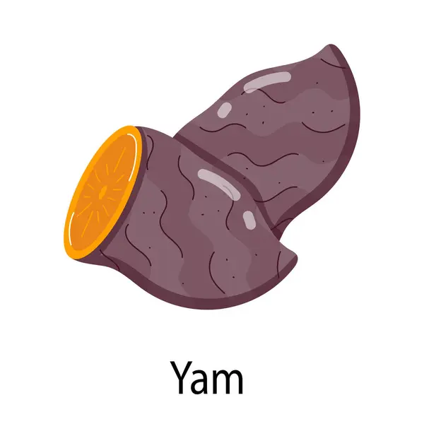 Yam Icon Vector Illustration Vector Graphics