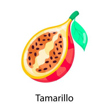 Tamarillo 'nun beyaz arkaplanda vektör tasarımı. 