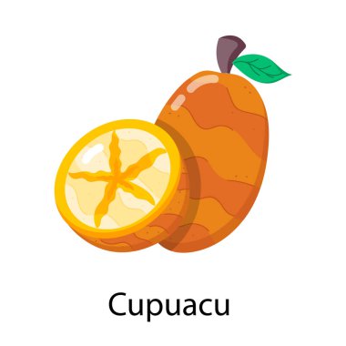 Çizgi film cupuacu meyvesinin vektör çizimi