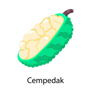 cempedak meyve resimlerinin vektör görüntüsü. 