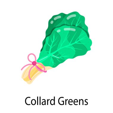 düz stil karalahana etiketi