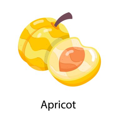 kayısılar meyve düz vektör illüstrasyonu