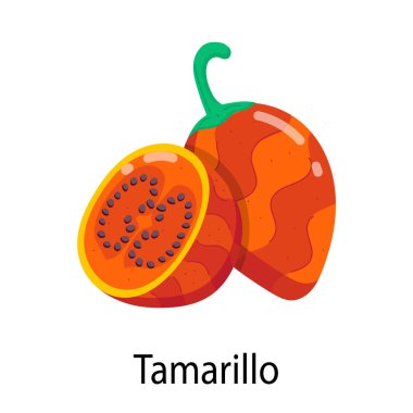 tamarillo simge vektör çizimi