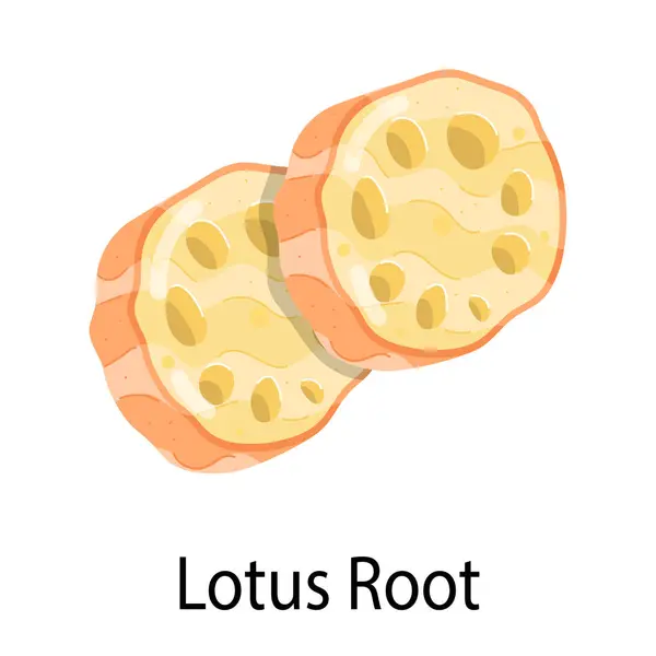 stock vector Trendy flat sticker of lotus root