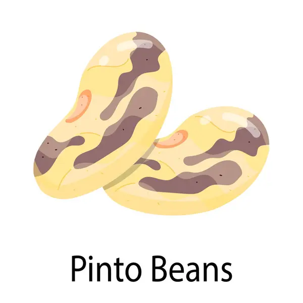 Vector Design Pinto Beans Icon Royalty Free Stock Vectors