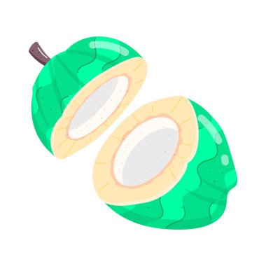 yeşil hindistan cevizi simgesi, vektör çizimi