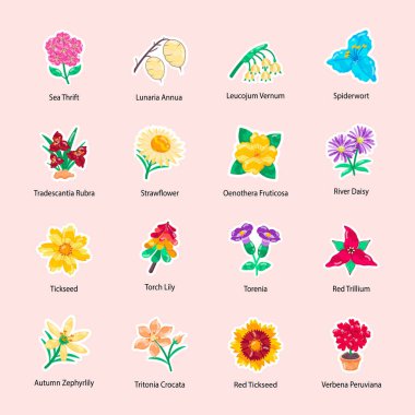 Çiçek ve bahar ikonları dizildi. Çiçeklerin vektör illüstrasyonu