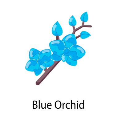 Mavi orkide vektör çizimi beyaz arkaplanda izole edildi 
