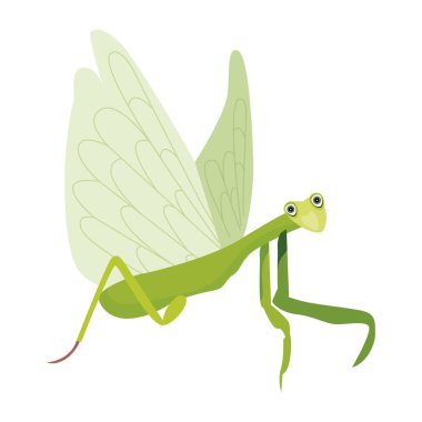 Yeşil mantis, illüstrasyon, beyaz arka plan vektör