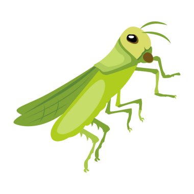 Yeşil mantis, illüstrasyon, beyaz arka plan vektör