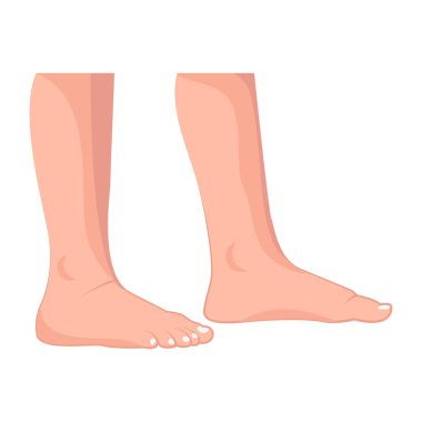 Karikatür insan ayakları, beyaz arkaplanda renkli vektör çizimi 