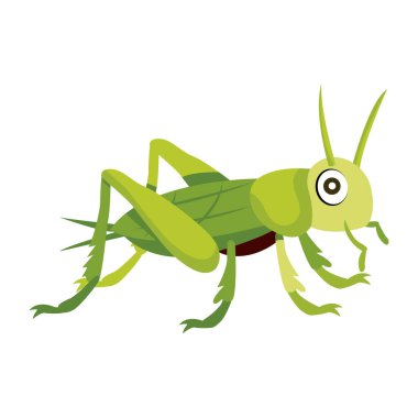 Beyaz arkaplanda izole edilmiş çizgi film çekirgesi, vektör illüstrasyonu