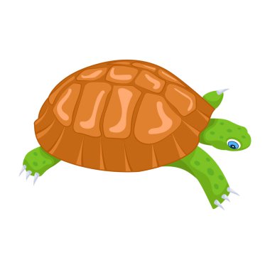 Şirin karikatür kaplumbağası, beyaz arkaplanda renkli çizimler.