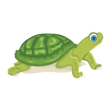 Şirin karikatür kaplumbağası, beyaz arkaplanda renkli çizimler.