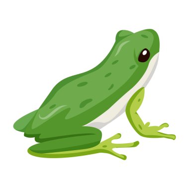 Çizgi film yeşil kurbağa, beyaz arkaplanda sevimli vektör çizimi 