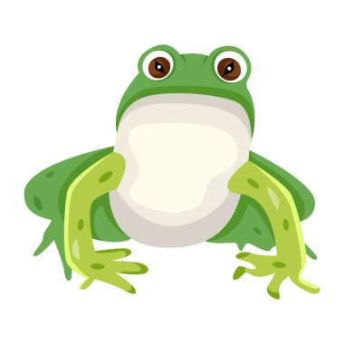 Çizgi film yeşil kurbağa, beyaz arkaplanda sevimli vektör çizimi 