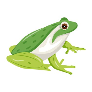 Çizgi film yeşil kurbağa, beyaz arkaplanda sevimli vektör çizimi 