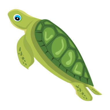 Şirin karikatür kaplumbağası, beyaz arkaplanda renkli çizimler.